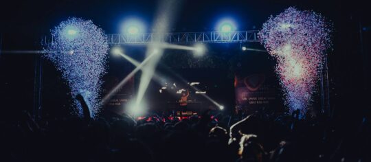 Web Designer for Artists