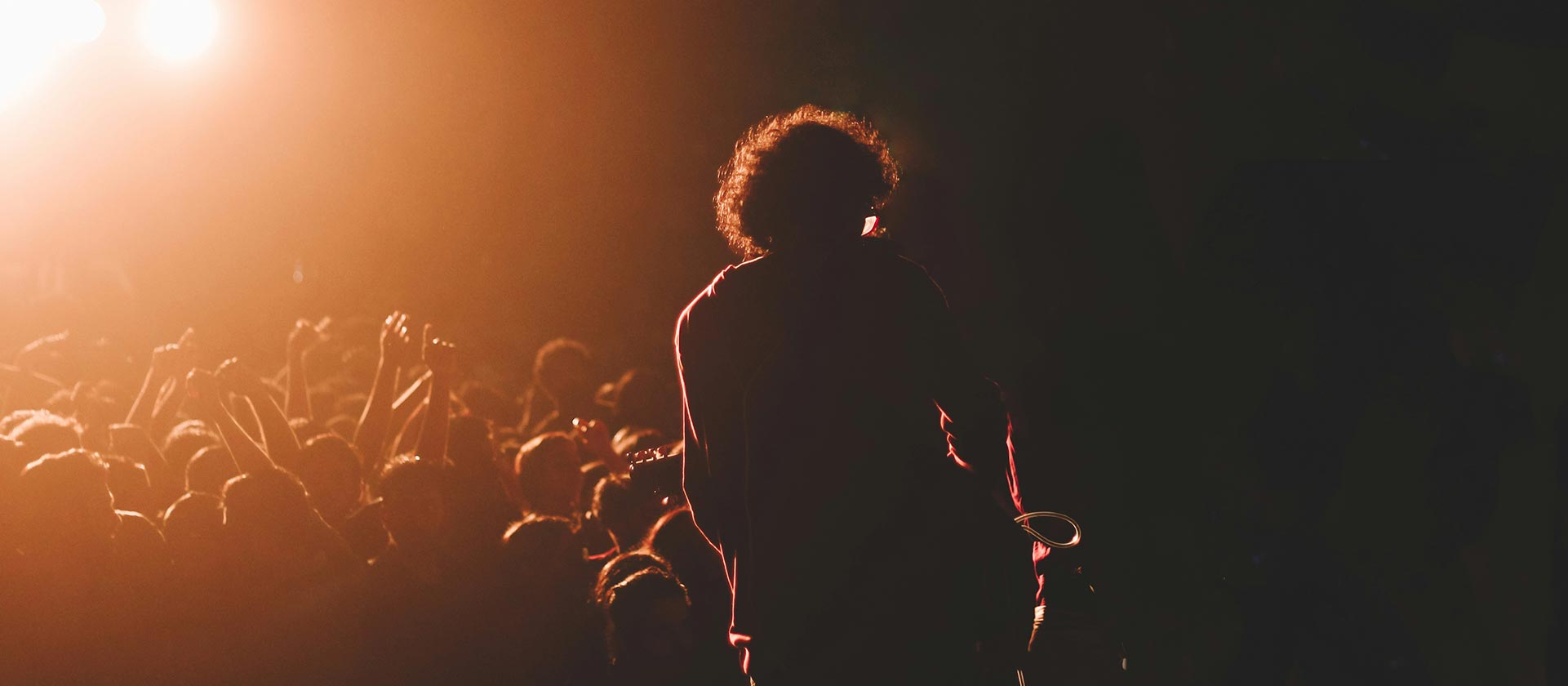 musician on state photo from behind