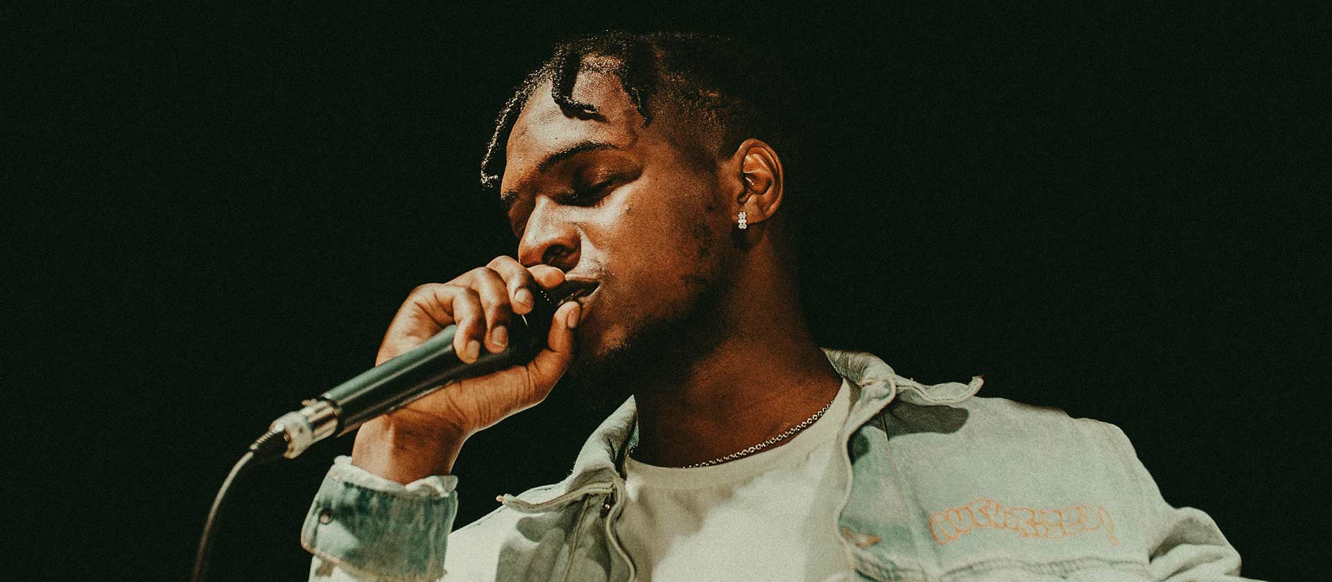 male artist in concert