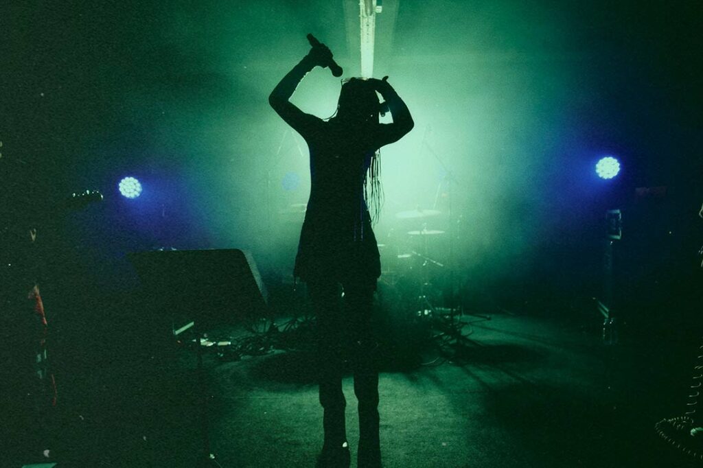 female artist in concert