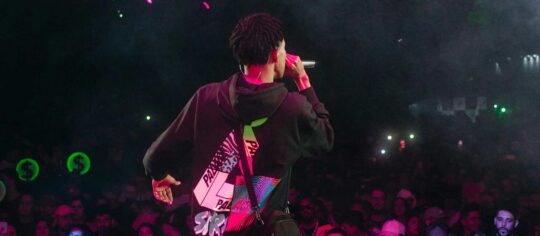 male artist in concert