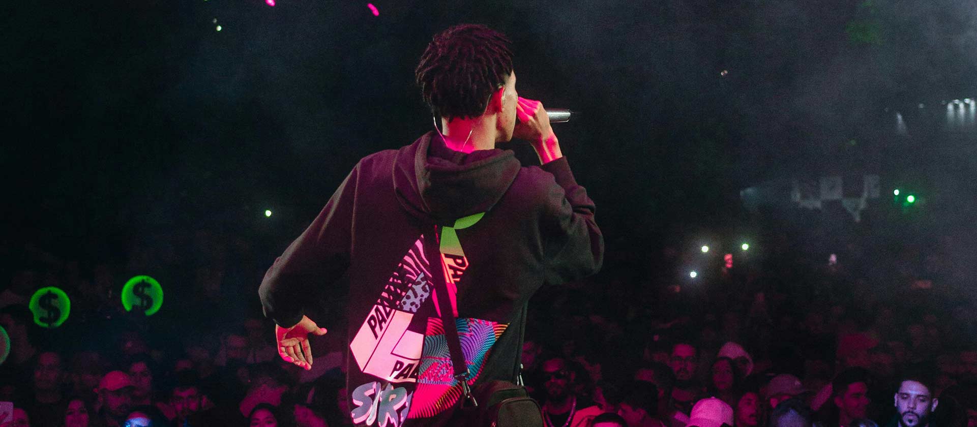 male artist in concert