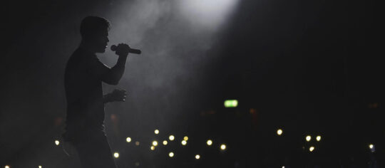 male artist in concert