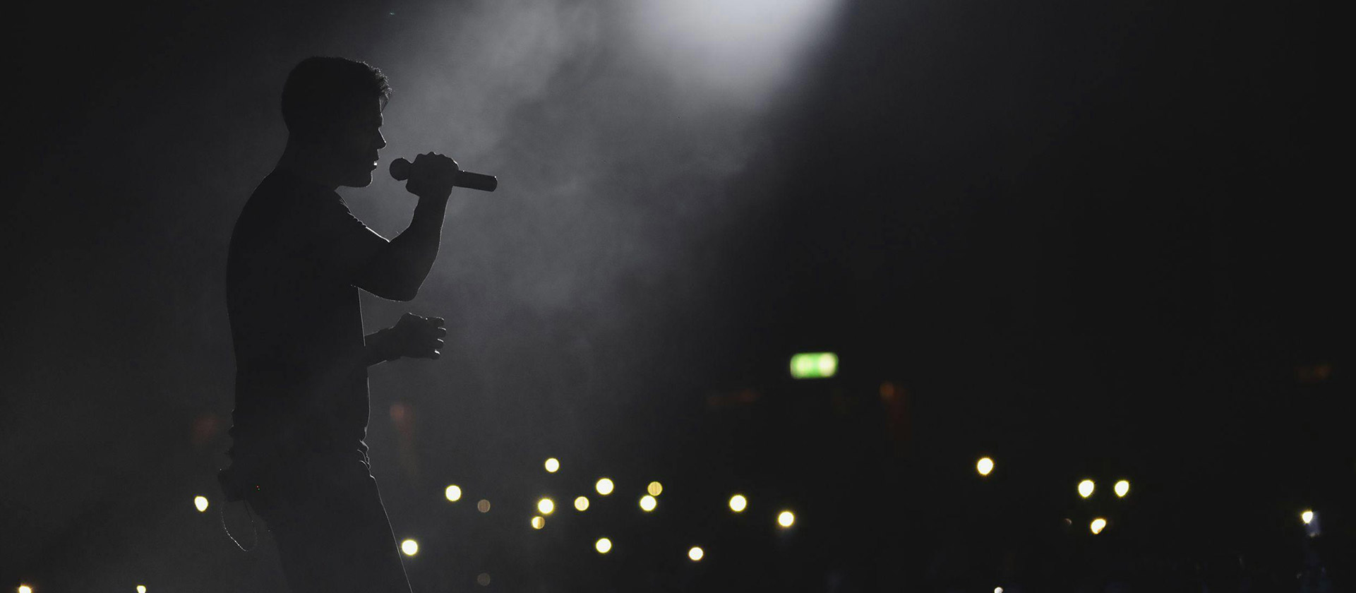 male artist in concert