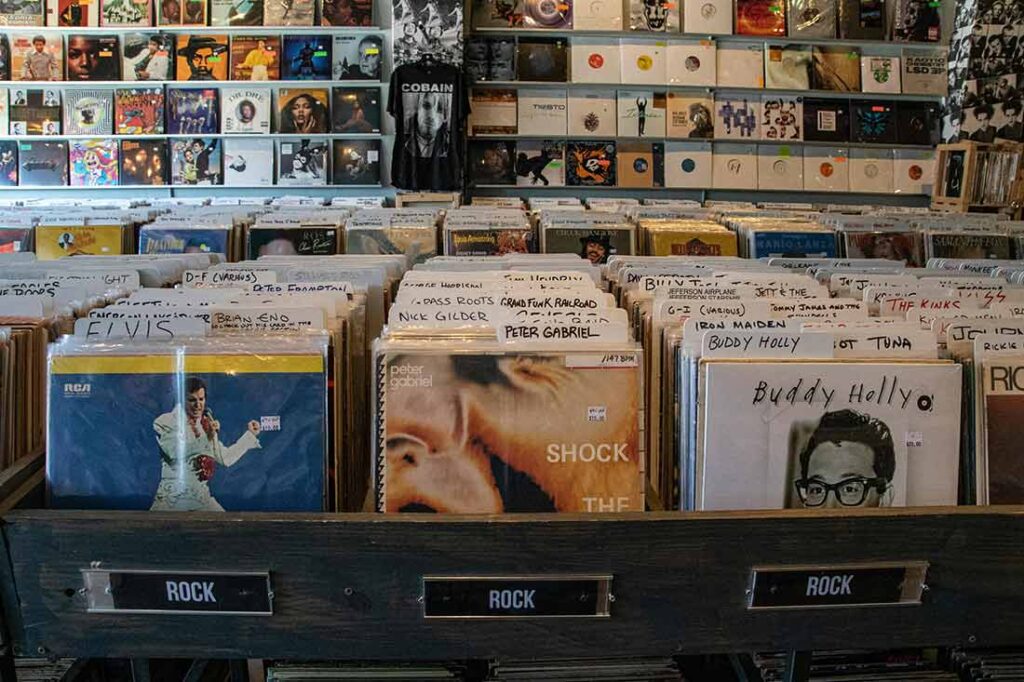 Elvis and Buddy Holly Records