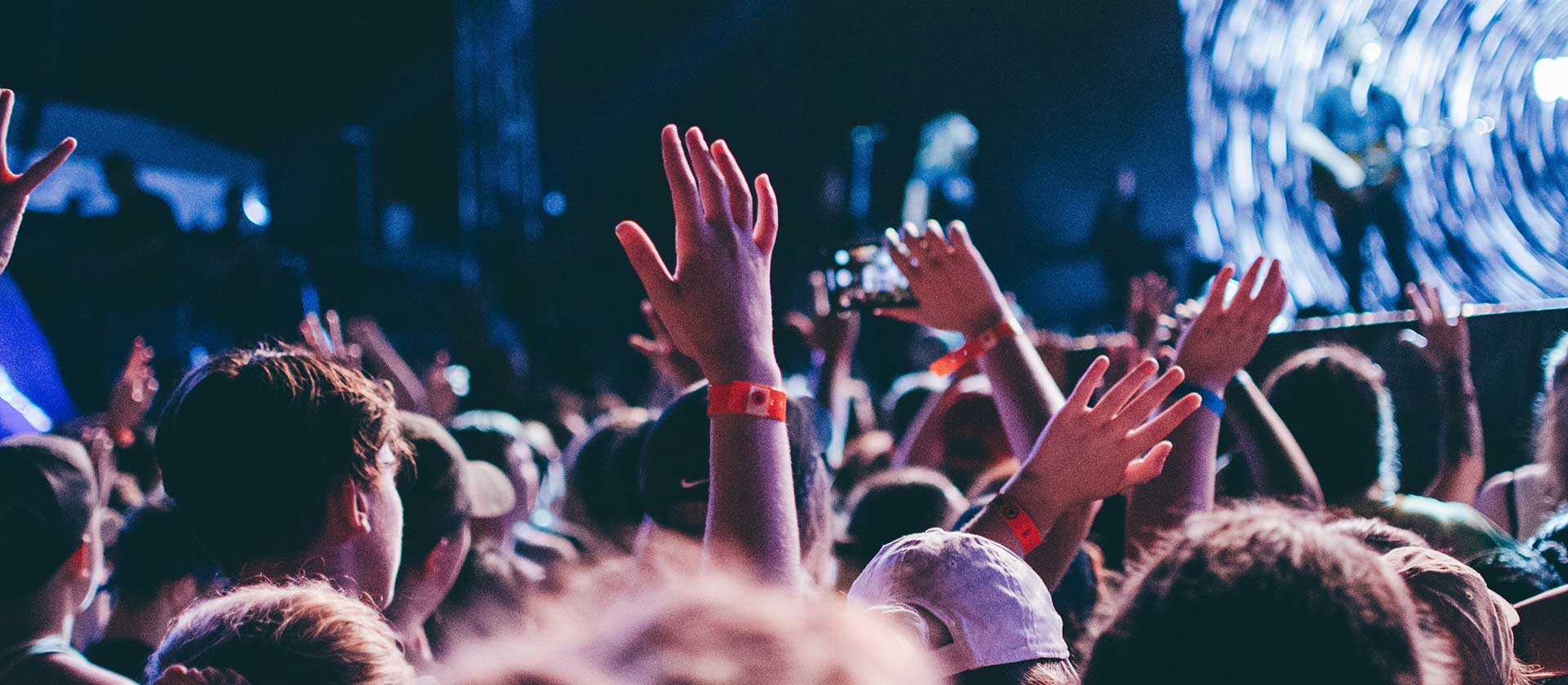 crowd at concert
